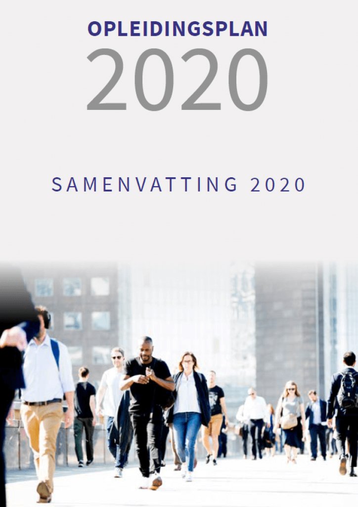 Plan Formation 2020 : Synthèse 2020 - NL
